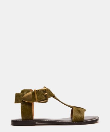 BRAZINN OLIVE