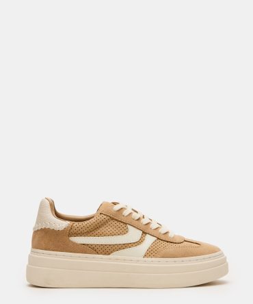 DODGE PERFORATED CAMEL MULTI